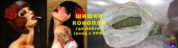 спайс Гусев