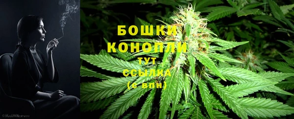 бутират Вяземский