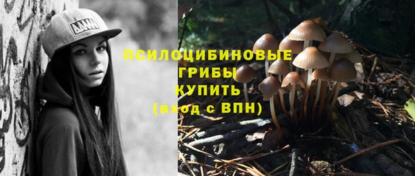 молекула духа Ступино