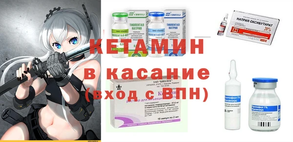 ECSTASY Гусь-Хрустальный