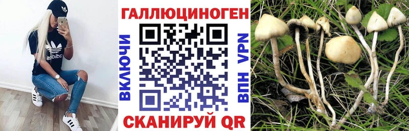 что такое   OMG сайт  Галлюциногенные грибы MAGIC MUSHROOMS  Губкинский 