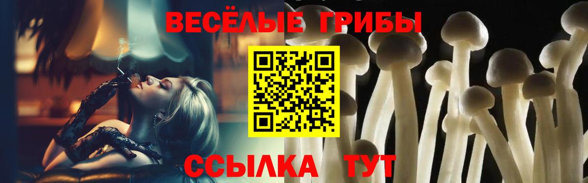 Галлюциногенные грибы ЛСД Губкинский