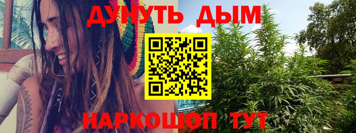 Губкинский  Бошки марихуана индика  Вход с VPN  Конопля марихуана 